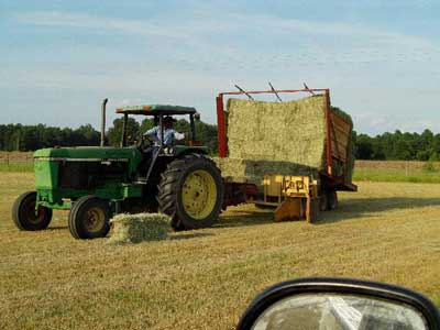 farm